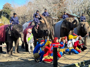ANIMAL WONDER REZOURT 市原ぞうの国・サユリワールドに投稿された画像（2024/2/25）