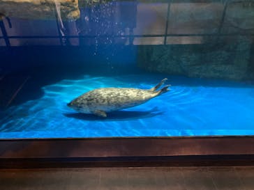 マクセル アクアパーク品川に投稿された画像（2024/2/25）