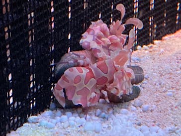 マクセル アクアパーク品川に投稿された画像（2024/2/25）