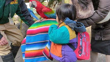 伊豆シャボテン動物公園に投稿された画像（2024/2/25）