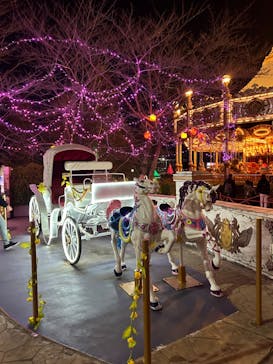 東武動物公園に投稿された画像（2024/2/25）