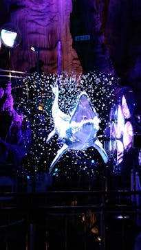 あぶくま洞に投稿された画像（2024/2/25）