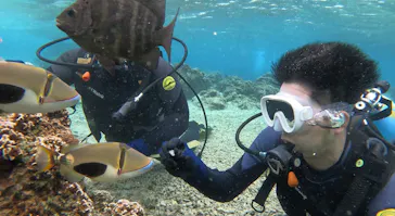 武藤潜水に投稿された画像（2024/2/25）