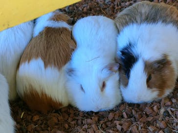 那須サファリパークに投稿された画像（2024/2/25）