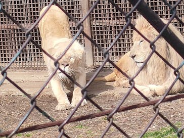 那須サファリパークに投稿された画像（2024/2/25）