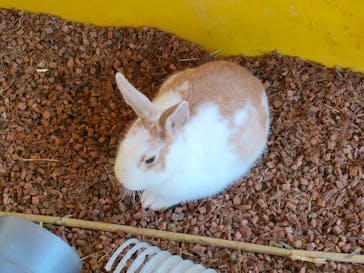 那須サファリパークに投稿された画像（2024/2/25）