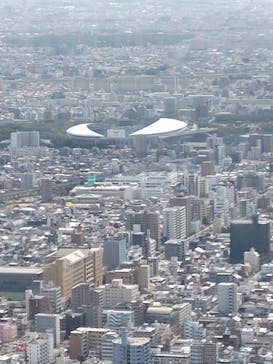 ハルカス300(展望台)に投稿された画像（2024/2/25）