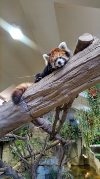 那須どうぶつ王国に投稿された画像（2024/2/25）