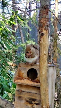 那須どうぶつ王国に投稿された画像（2024/2/25）