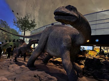 福井県立恐竜博物館に投稿された画像（2024/2/25）