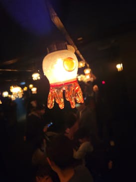 京都水族館に投稿された画像（2024/2/25）