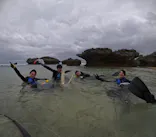 武藤潜水に投稿された画像（2024/2/25）