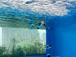 サンシャイン水族館に投稿された画像（2024/2/25）