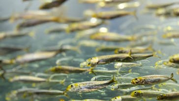 サンシャイン水族館に投稿された画像（2024/2/25）
