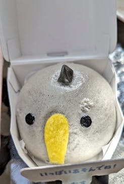 神戸どうぶつ王国に投稿された画像（2024/2/25）