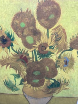 ゴッホ・アライブに投稿された画像（2024/2/25）