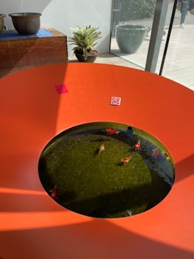 環境水族館アクアマリンふくしまに投稿された画像（2024/2/25）