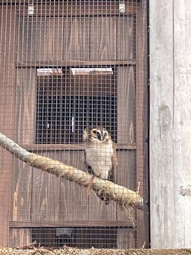 環境水族館アクアマリンふくしまに投稿された画像（2024/2/25）