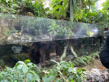 環境水族館アクアマリンふくしまに投稿された画像（2024/2/25）