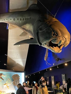 環境水族館アクアマリンふくしまに投稿された画像（2024/2/25）