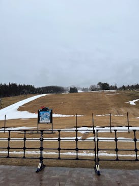 スキージャム勝山に投稿された画像（2024/2/25）