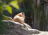 天王寺動物園に投稿された画像（2024/2/25）