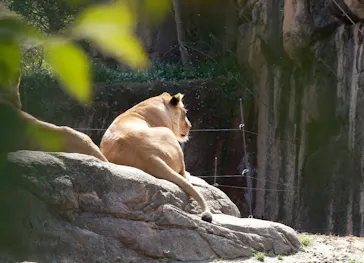 天王寺動物園に投稿された画像（2024/2/25）