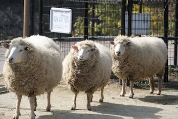 天王寺動物園に投稿された画像（2024/2/25）