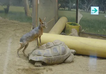 天王寺動物園に投稿された画像（2024/2/25）