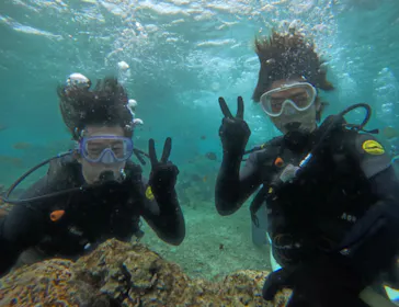 武藤潜水に投稿された画像（2024/2/25）