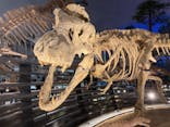 福井県立恐竜博物館に投稿された画像（2024/2/25）