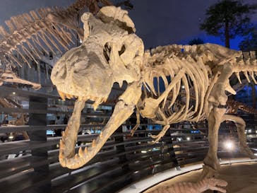 福井県立恐竜博物館に投稿された画像（2024/2/25）