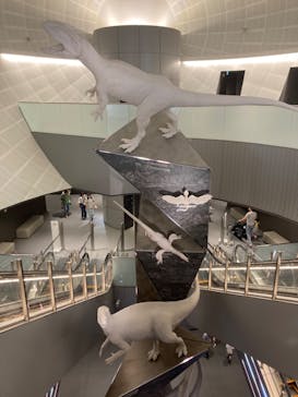 福井県立恐竜博物館に投稿された画像（2024/2/25）