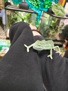 いきもの探検隊上尾に投稿された画像（2024/2/25）