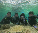 武藤潜水に投稿された画像（2024/2/25）