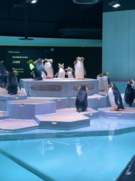 AOAO SAPPOROに投稿された画像（2024/2/25）