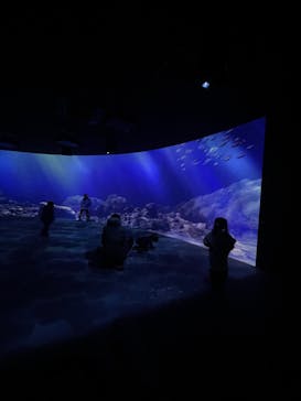 AOAO SAPPOROに投稿された画像（2024/2/25）