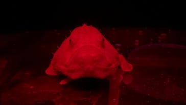 伊豆・三津シーパラダイスに投稿された画像（2024/2/25）