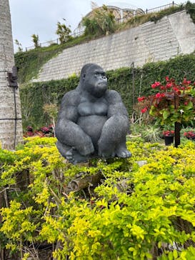 沖縄こどもの国に投稿された画像（2024/2/25）