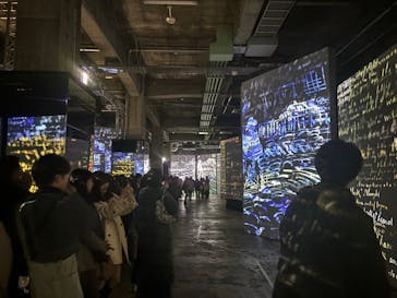 ゴッホ・アライブに投稿された画像（2024/2/25）