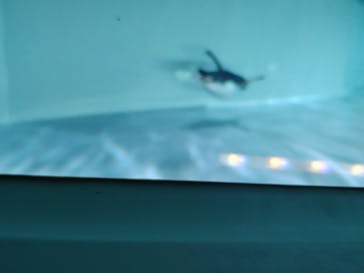 AOAO SAPPOROに投稿された画像（2024/2/25）