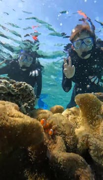 宮古島 ADVENTURE PiPi（ミヤコジマ アドベンチャー ピピ）に投稿された画像（2024/2/25）