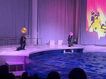 アクアワールド茨城県大洗水族館に投稿された画像（2024/2/25）