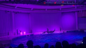 アクアワールド茨城県大洗水族館に投稿された画像（2024/2/25）