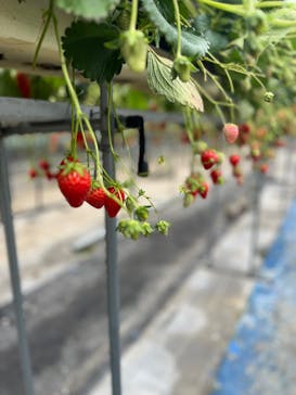 樋の口園に投稿された画像（2024/2/25）