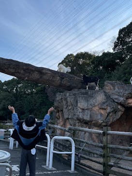 到津の森公園に投稿された画像（2024/2/25）