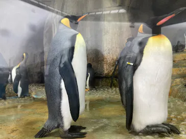 仙台うみの杜水族館に投稿された画像（2024/2/25）