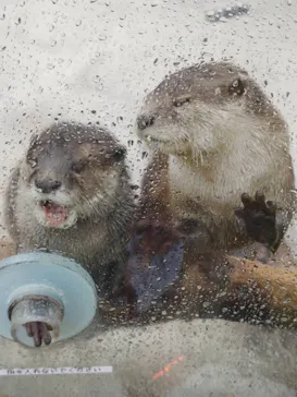 横浜・八景島シーパラダイスに投稿された画像（2024/2/25）