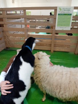 Moff animal world BIGHOPガーデンモール印西店に投稿された画像（2024/2/25）