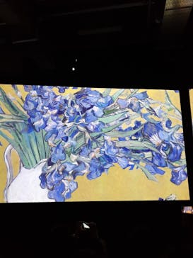 ゴッホ・アライブに投稿された画像（2024/2/25）